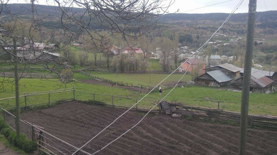 Niksar Boyluca Köyü Resimleri 3