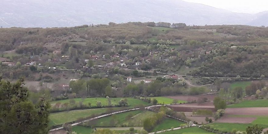 Niksar Boyluca Köyü Resimleri