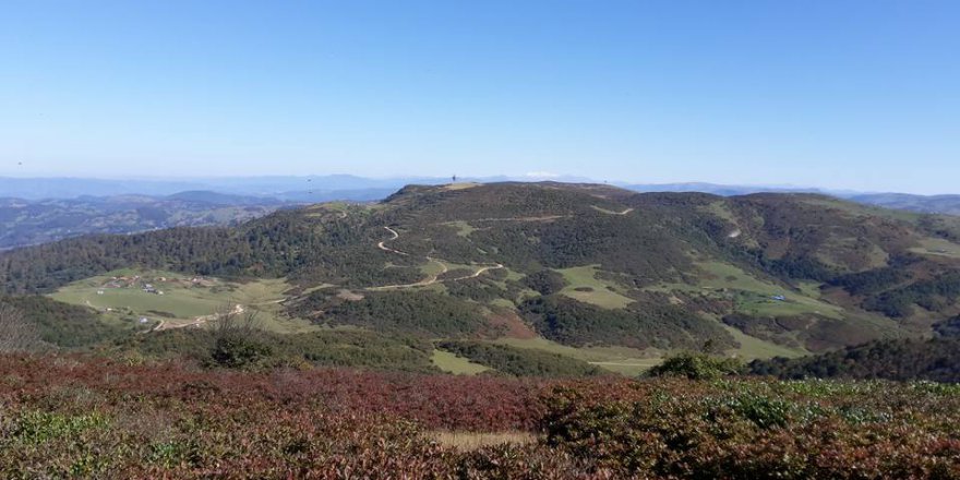 Niksar Bozcaarmut Köyü Resimleri