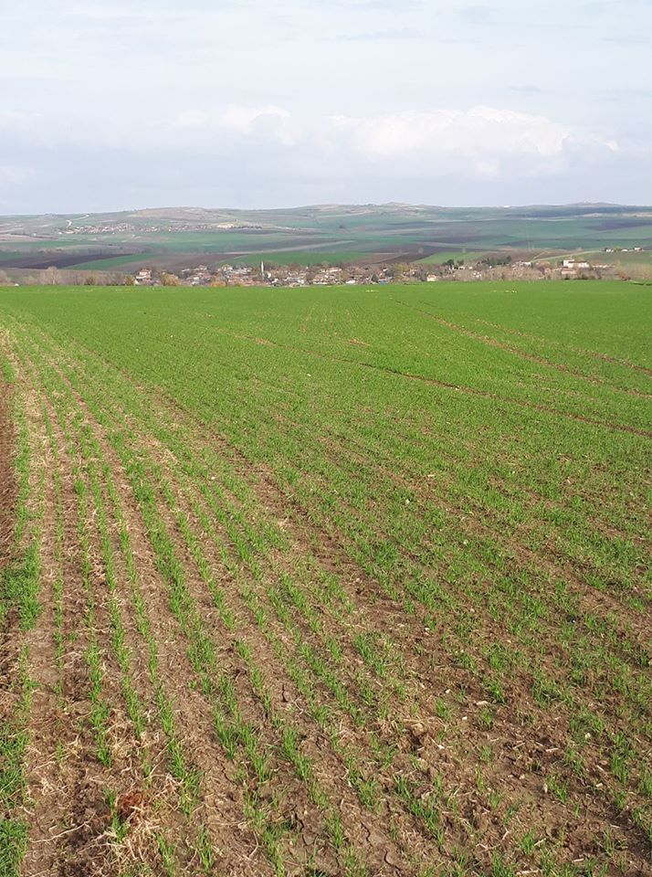 Edirne Ahi Köyü Resimleri 8