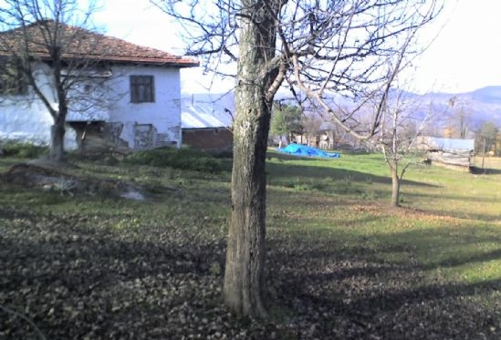 Niksar Büyükyurt Köyü Resimleri 2