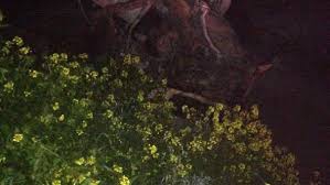 Onikişubat Dereboğazı Köyü Resimleri 4