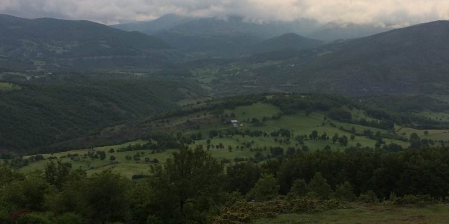 Niksar Çalca Köyü Resimleri