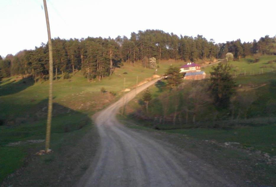 Niksar Çatak Köyü Resimleri 1