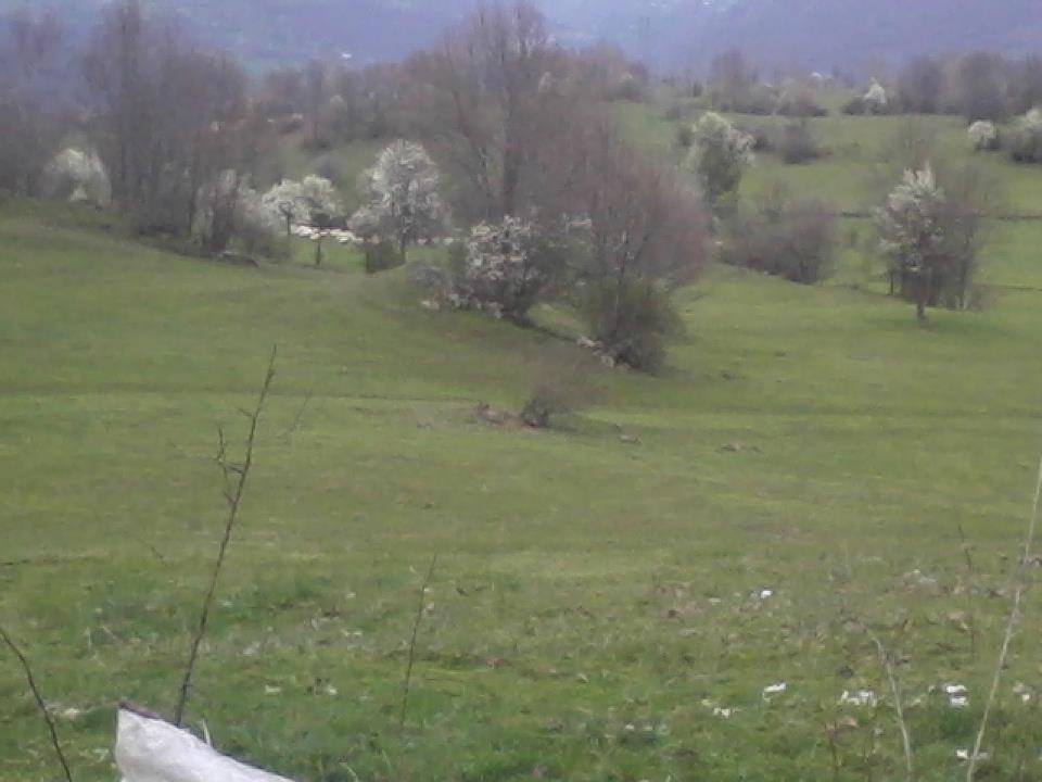 Niksar Çatak Köyü Resimleri 2