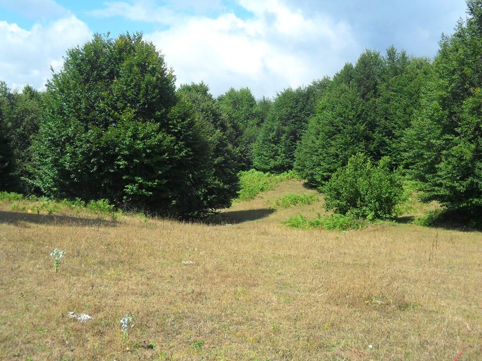 Niksar Çatak Köyü Resimleri 3