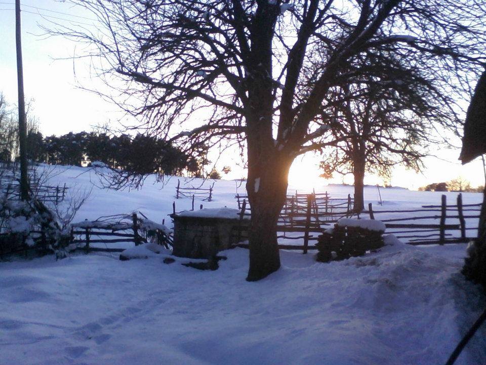 Niksar Çatak Köyü Resimleri 6