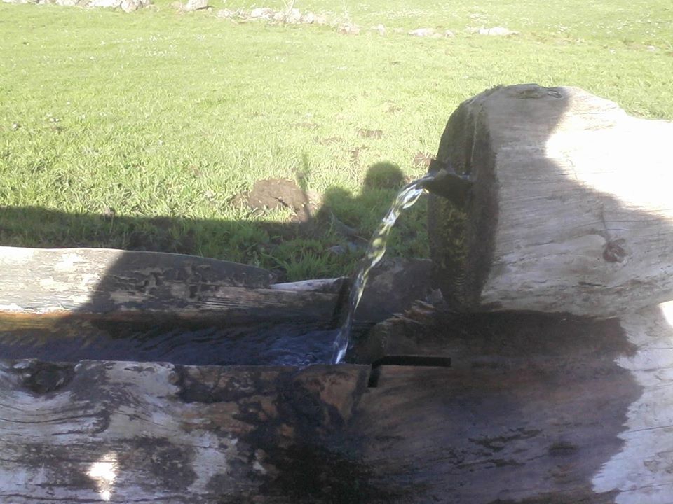 Niksar Çatak Köyü Resimleri 7