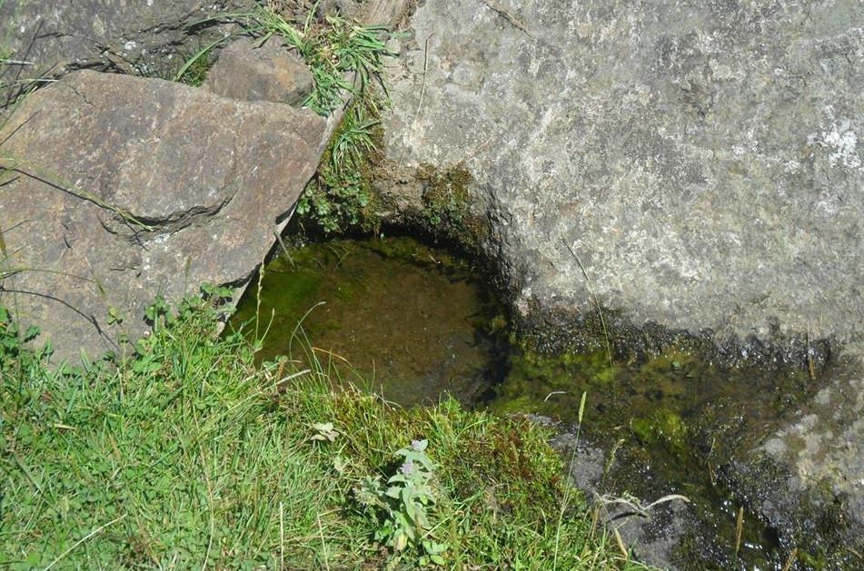 Niksar Çatak Köyü Resimleri 8