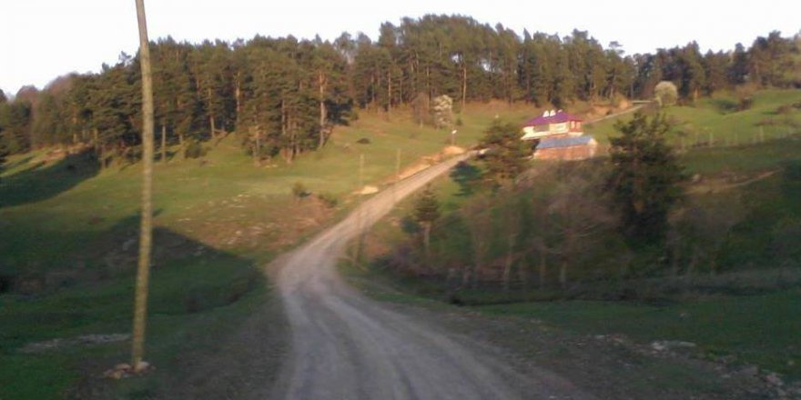 Niksar Çatak Köyü Resimleri