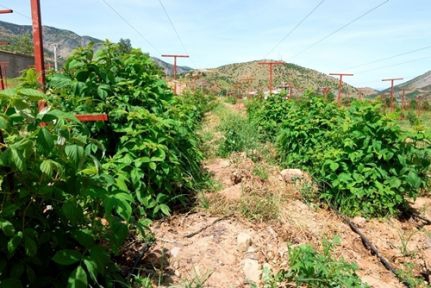 Onikişubat Dönüklü Köyü Resimleri 4