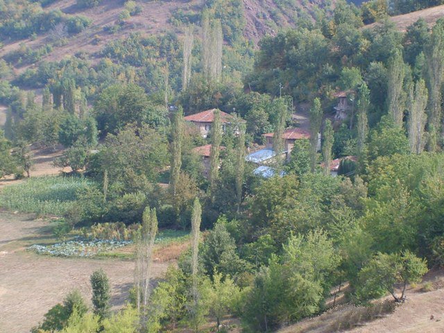 Niksar Çayköy Köyü Resimleri 1