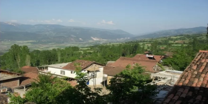 Niksar Çiçekli Köyü Resimleri