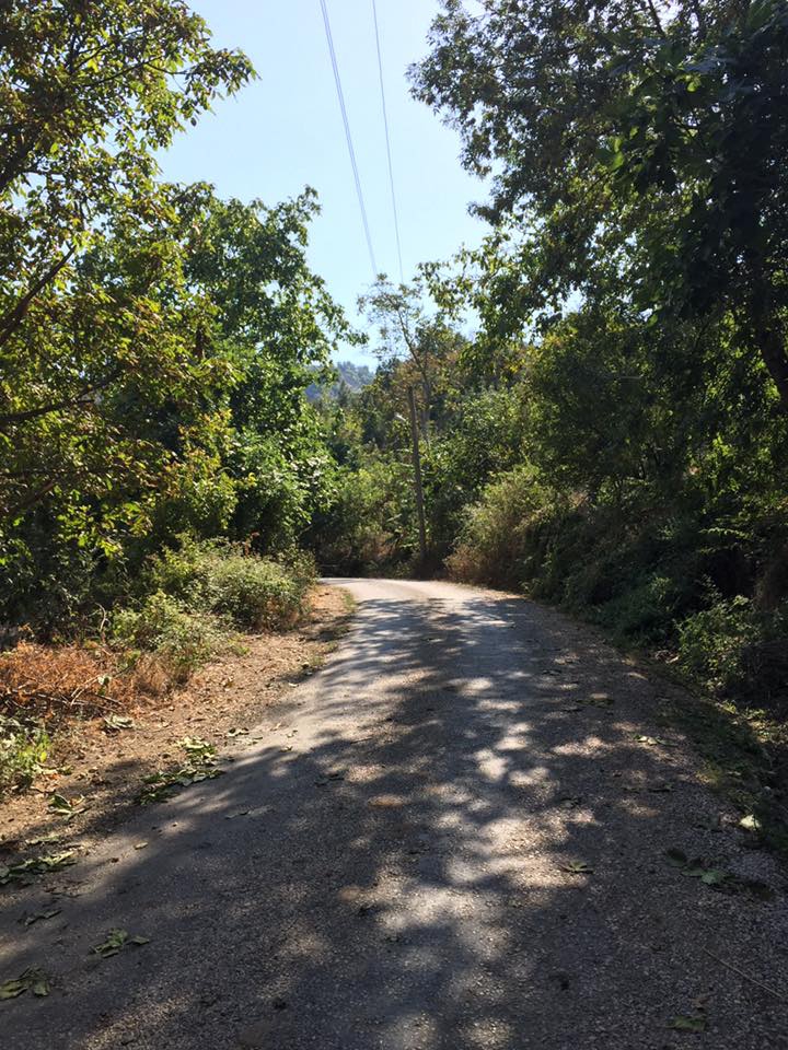 Niksar Derindere Köyü Resimleri 3