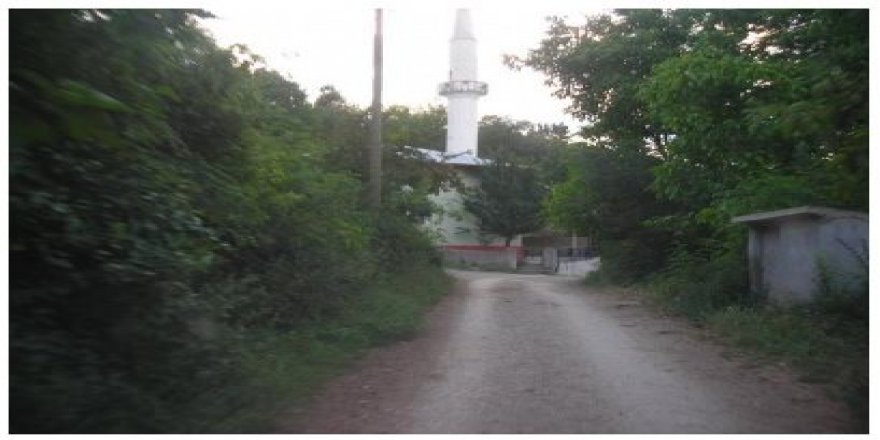 Niksar Derindere Köyü Resimleri