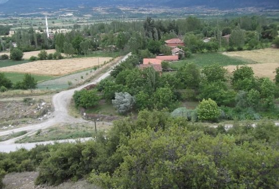 Niksar Direkli Köyü Resimleri 2