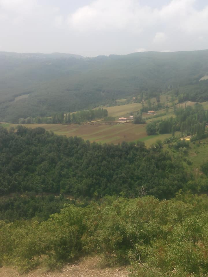 Niksar Eryaba Köyü Resimleri 3