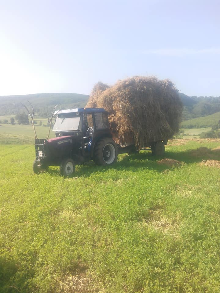 Niksar Eryaba Köyü Resimleri 7