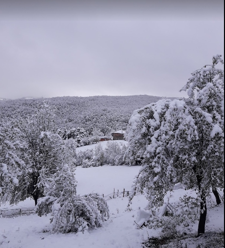 Niksar Eyneağzı Köyü Resimleri 4