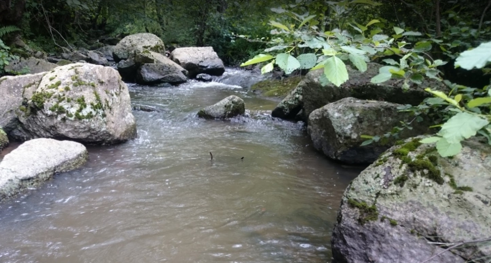 Niksar Eyneağzı Köyü Resimleri 5