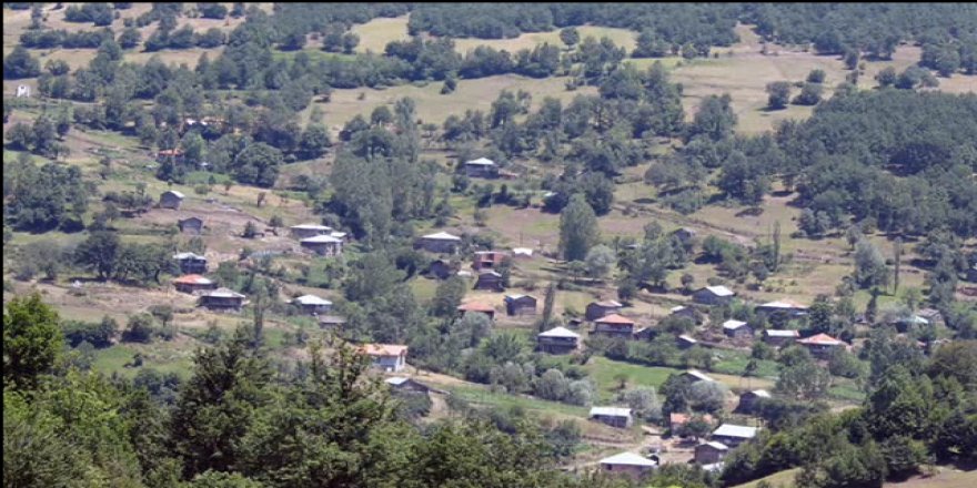 Niksar Eyneağzı Köyü Resimleri