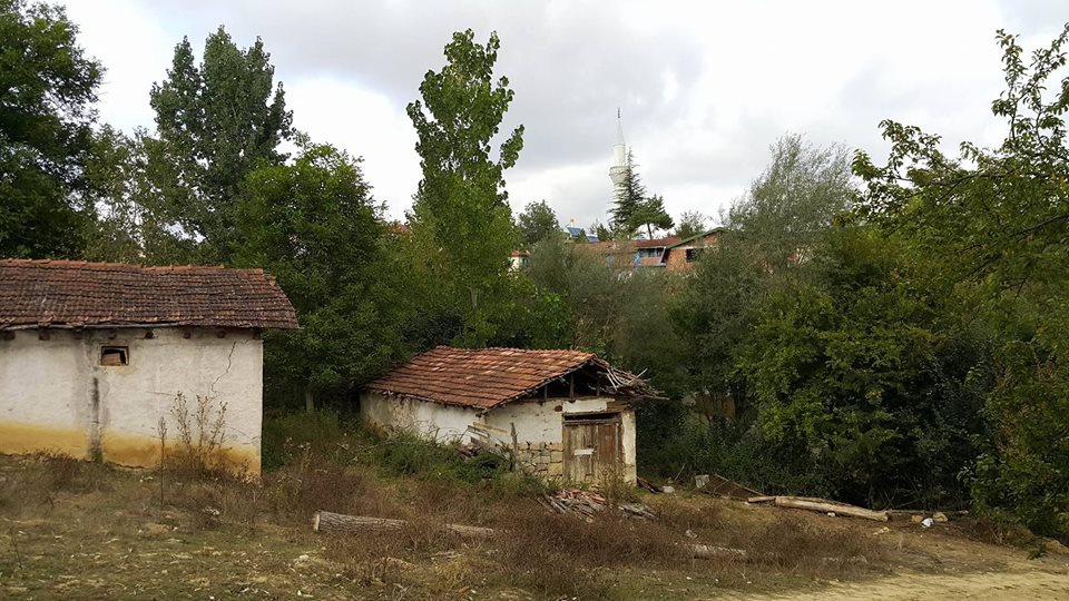 Ladik Deliahmetoğlu Köyü Resimleri 11