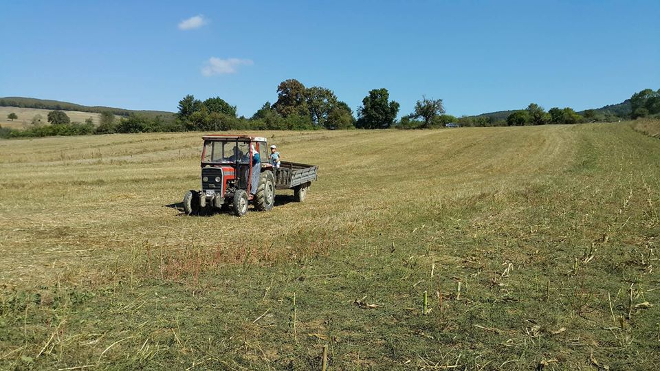 Ladik Deliahmetoğlu Köyü Resimleri 8