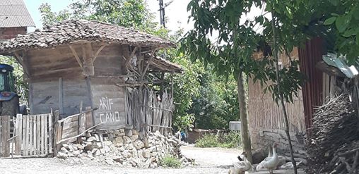 Ladik Günkoru Köyü Resimleri 3