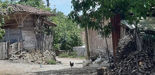 Ladik Günkoru Köyü Resimleri 6