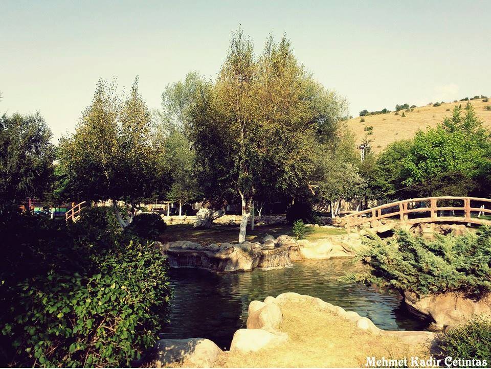 Ladik Hamamayağı Köyü Resimleri 10