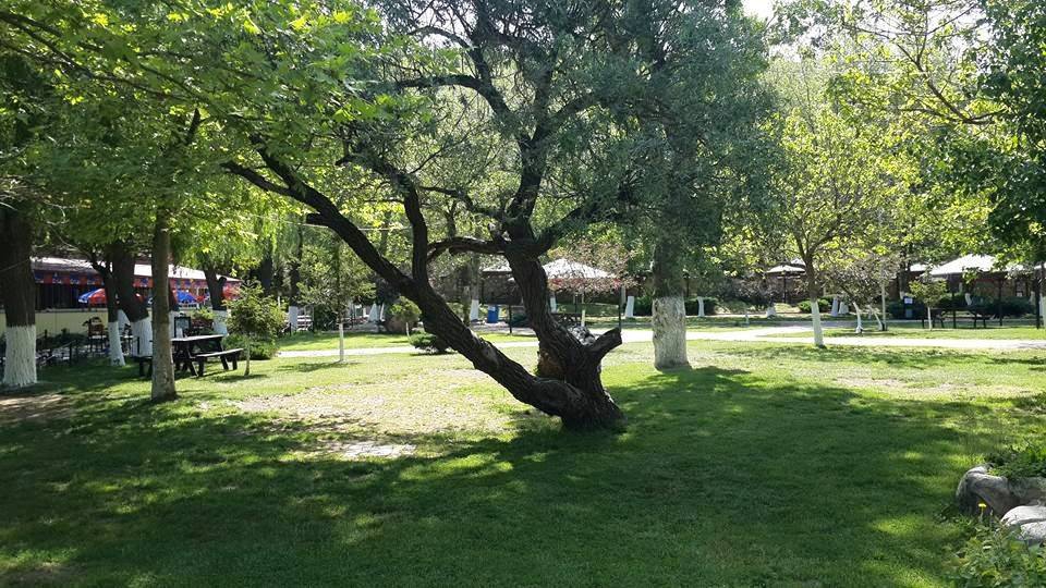 Ladik Hamamayağı Köyü Resimleri 2