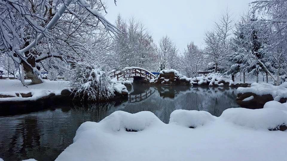 Ladik Hamamayağı Köyü Resimleri 9