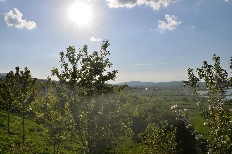 Ladik Hamitköy Köyü Resimleri 1