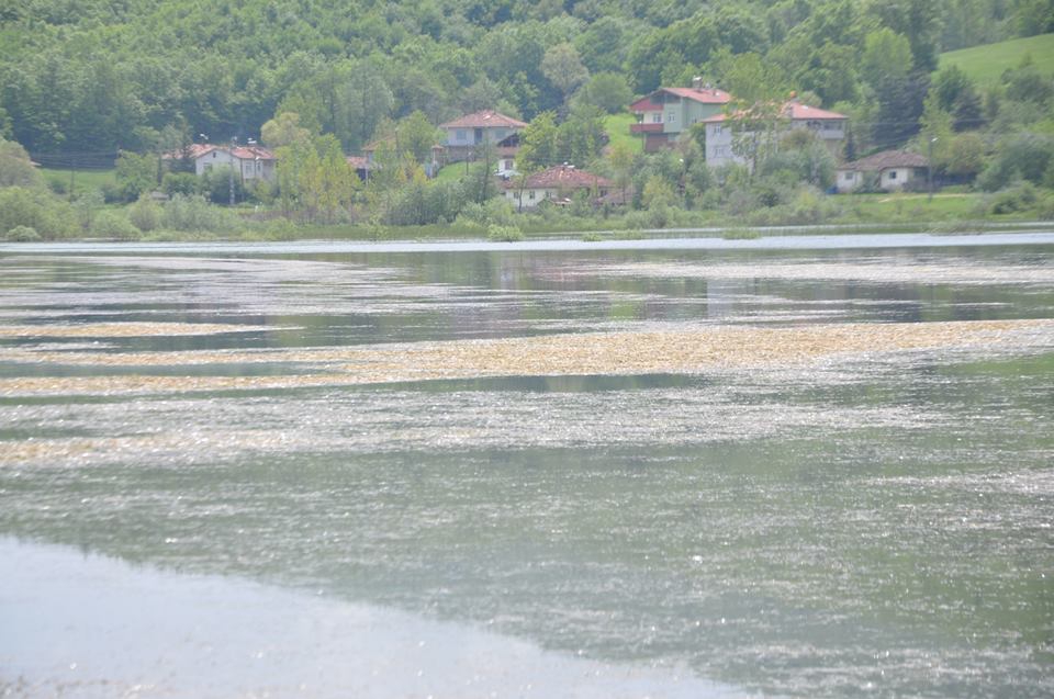 Ladik Hamitköy Köyü Resimleri 4