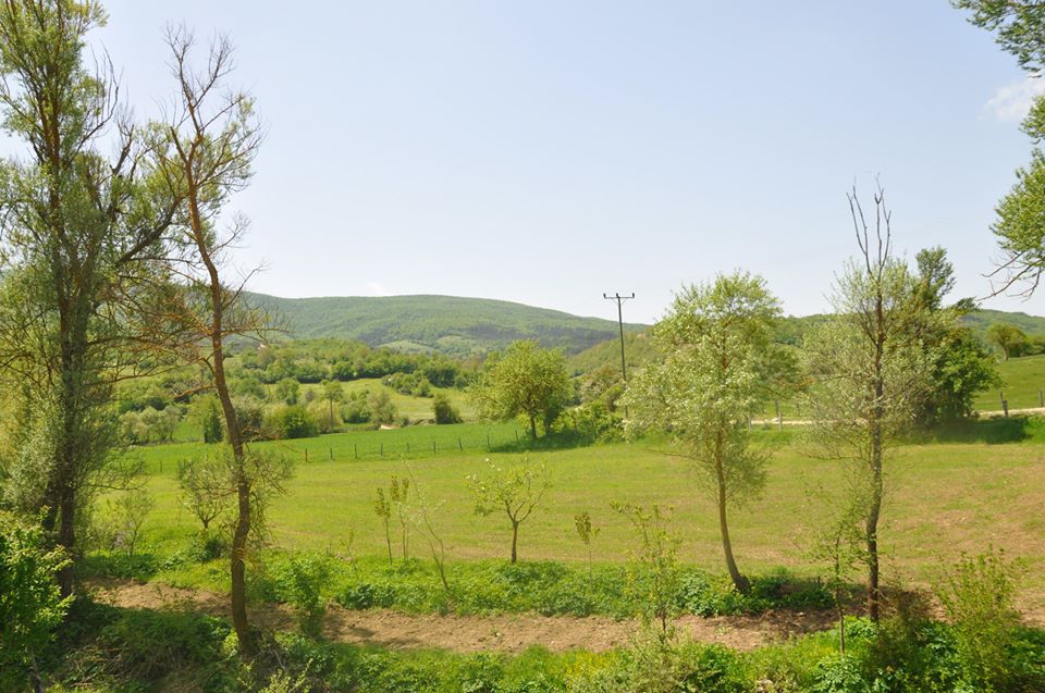 Ladik Hamitköy Köyü Resimleri 6