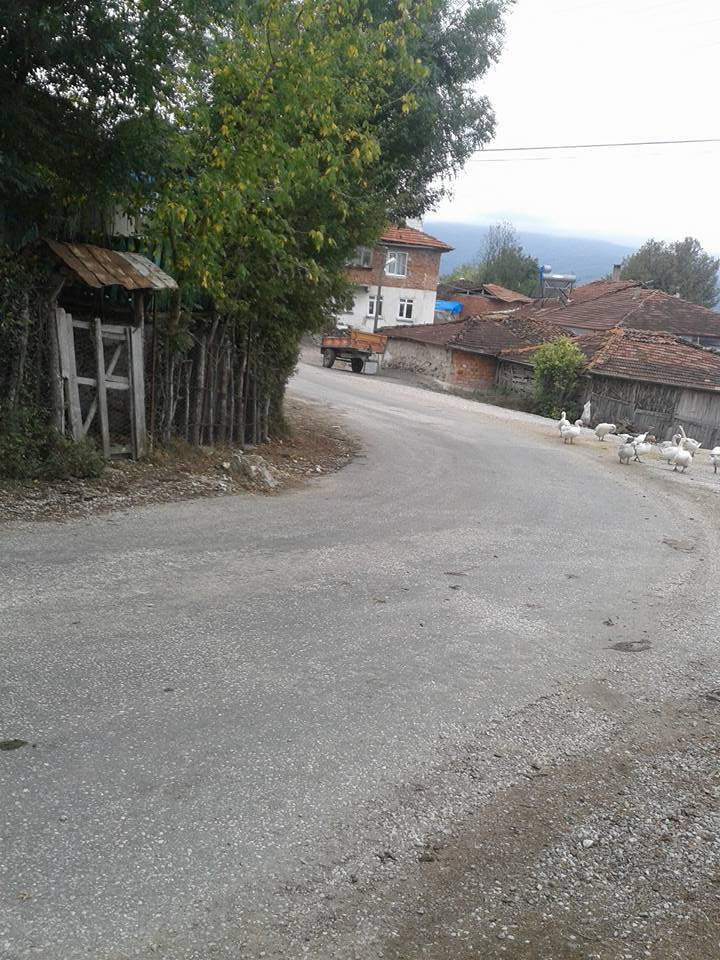 Ladik Hasırcı Köyü Resimleri 1