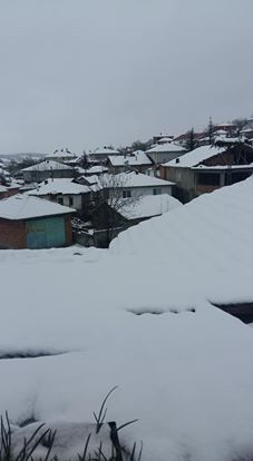 Ladik İbi Köyü Resimleri 3