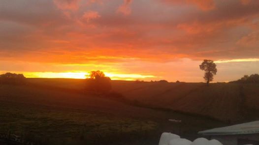 Ladik İsasofta Köyü Resimleri 10