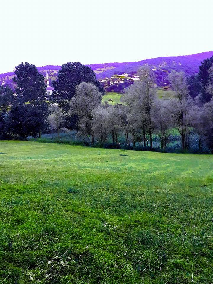 Ladik Karaabdal Köyü Resimleri 1