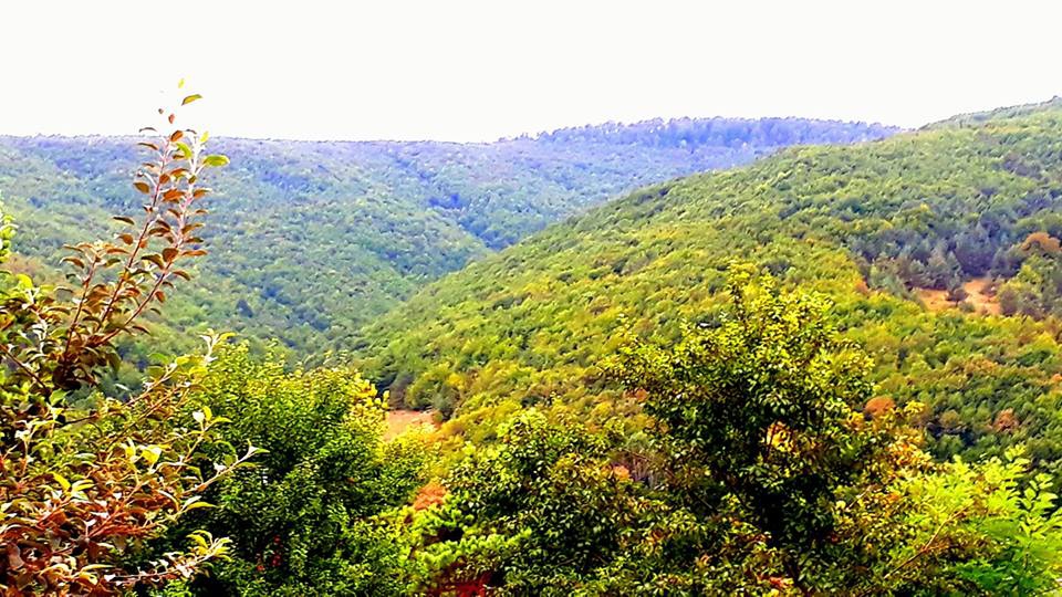 Ladik Karaabdal Köyü Resimleri 10