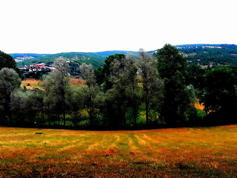 Ladik Karaabdal Köyü Resimleri 2