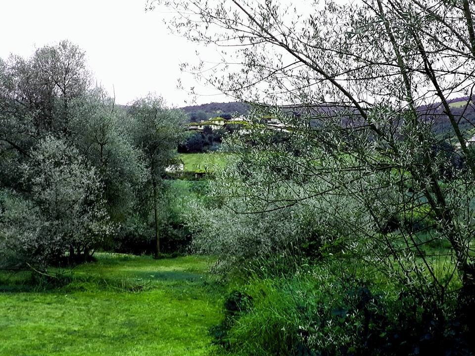 Ladik Karaabdal Köyü Resimleri 5