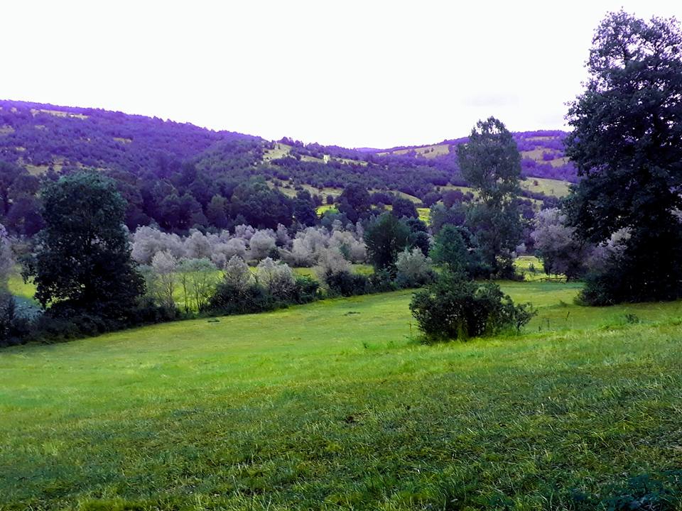 Ladik Karaabdal Köyü Resimleri 6