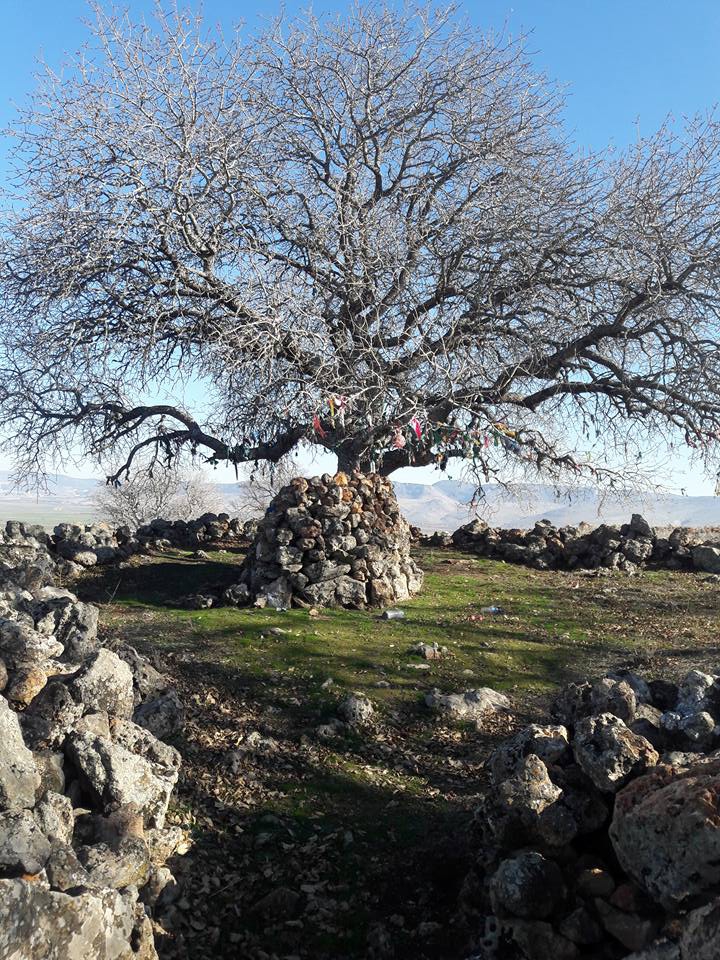 Pazarcık Cennetpınarı Köyü Resimleri 5