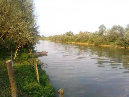 Arifiye Mollaköy Köyü 1