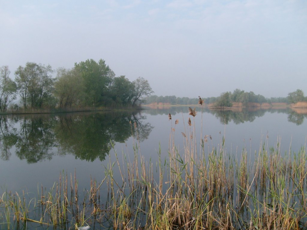 Arifiye Mollaköy Köyü 10