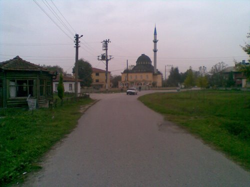 Arifiye Mollaköy Köyü 3