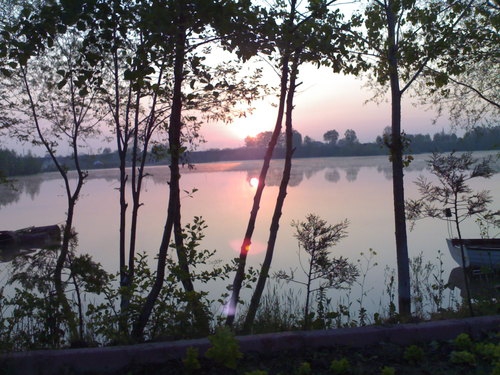 Arifiye Mollaköy Köyü 5