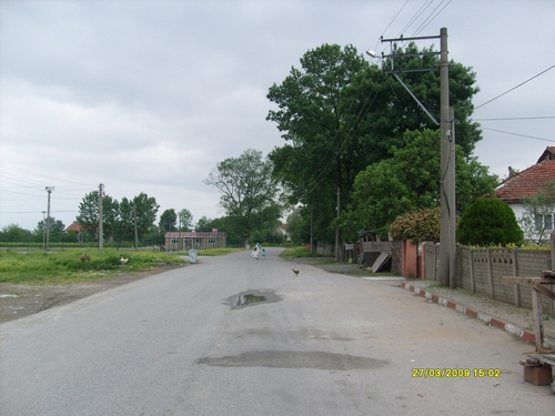 Arifiye Mollaköy Köyü 6