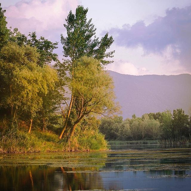 Arifiye Mollaköy Köyü 7